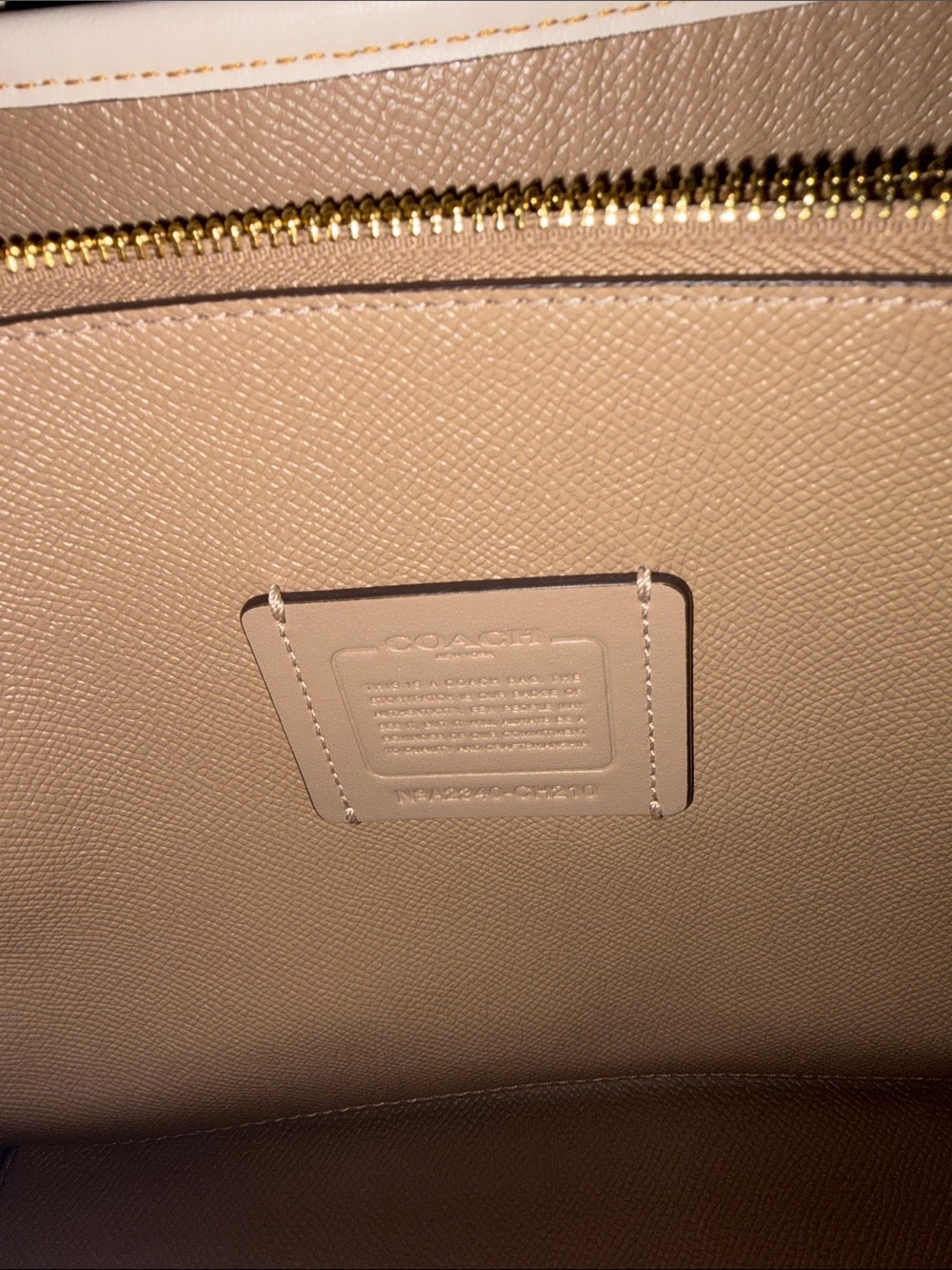 Coach Mini Molly Straw Tote - Picture 4 of 4
